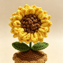 Sunflower Potted Plant Pattern