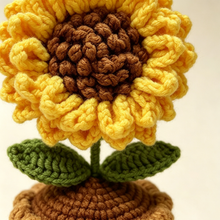 Sunflower Potted Plant Pattern